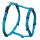 HUNTER PETTORINA VARIO RAPID TURCHESE